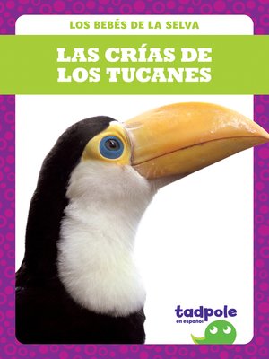 cover image of Las crías de los tucanes (Toucan Chicks)
